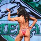 Theresa  Jordan - NPC Emerald Cup 2013 - #1